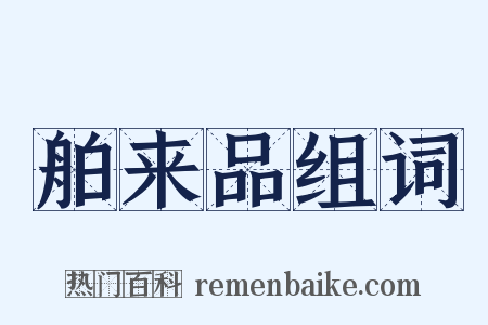 舶来品组词是什么意思的图片